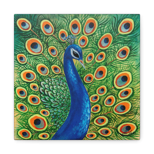 Peacock Canvas Print