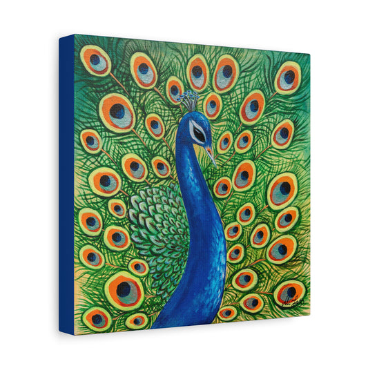 Peacock Canvas Print