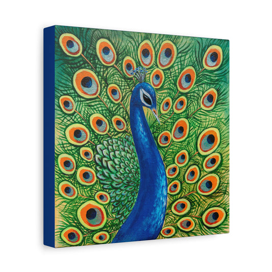 Peacock Canvas Print